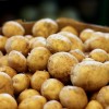 LLKC: Šogad kartupeļu kopraža būs mazāka nekā pērn