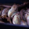 Lietuvā no tirdzniecības izņem Latvijas šprotes “Goldfish”