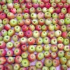 Polija lūdz atļaut ābolu eksportu un sava tirgus atvēršanu ASV