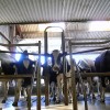 Somijā ceļ trauksmi par pieaugošo piena importu no Baltijas valstīm