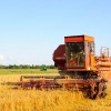 Pieaug Latvijas graudu ražas eksports