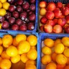 Baltkrievija uzlabo eksotisko augļu eksportu uz Krieviju